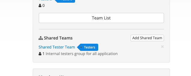 Screenshot of added shared team