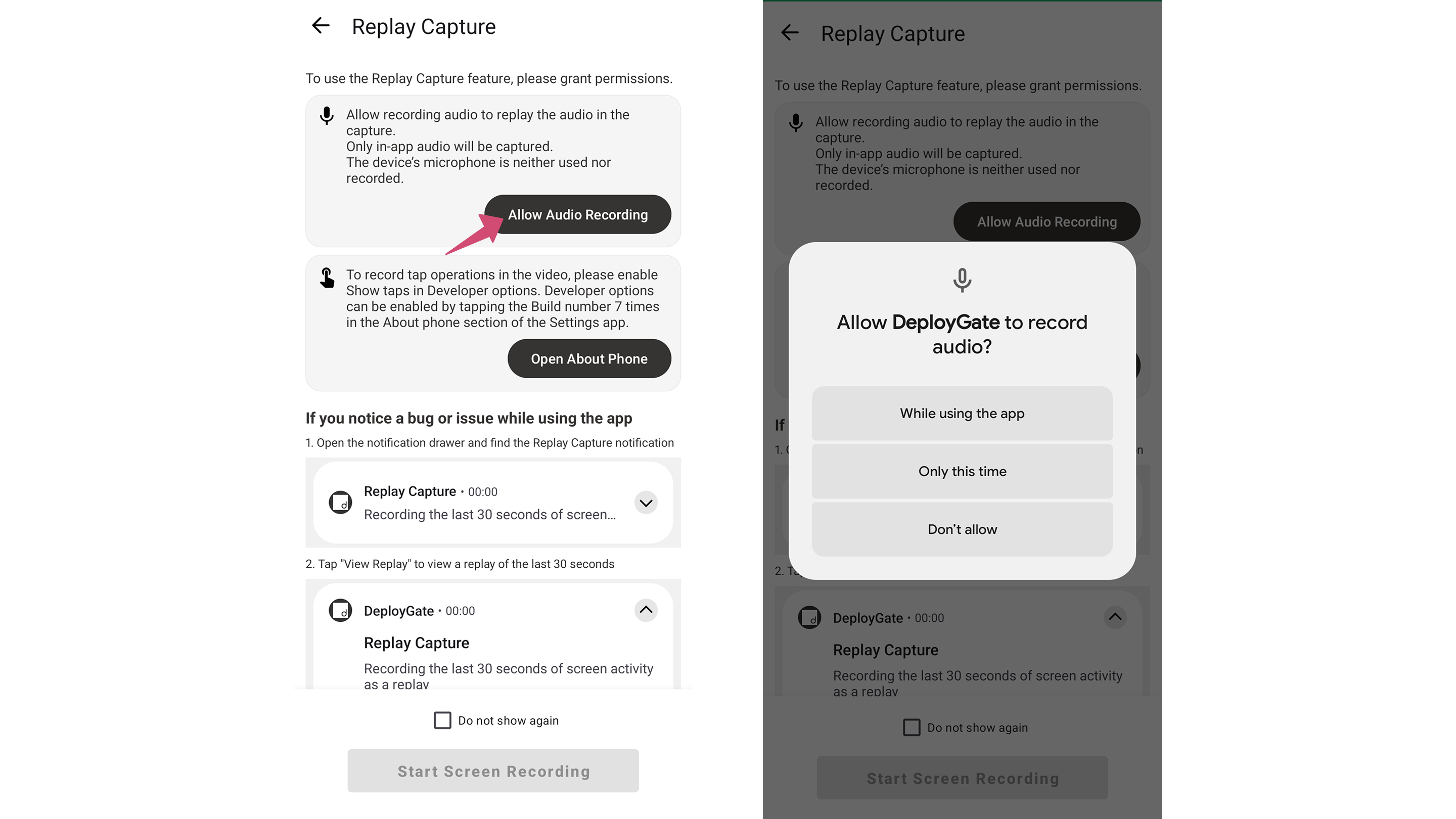 Image of Allow Record Audio