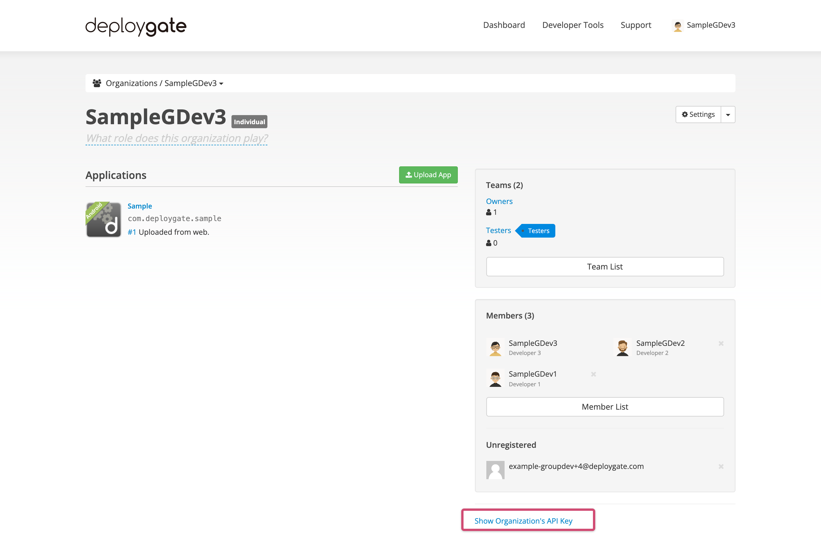 Organization dashboard showing API key section