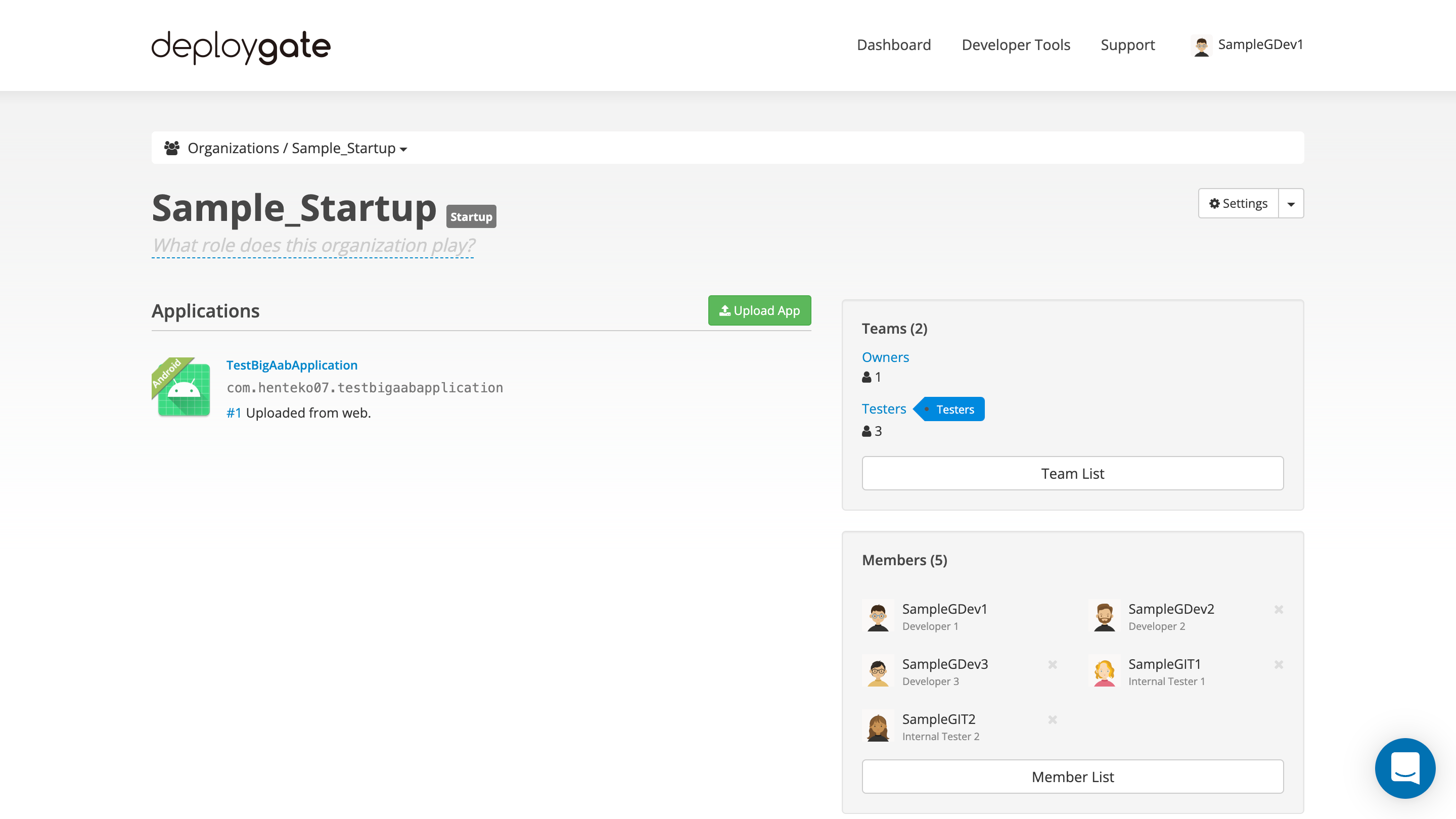 Organization dashboard showing member permissions and team structure
