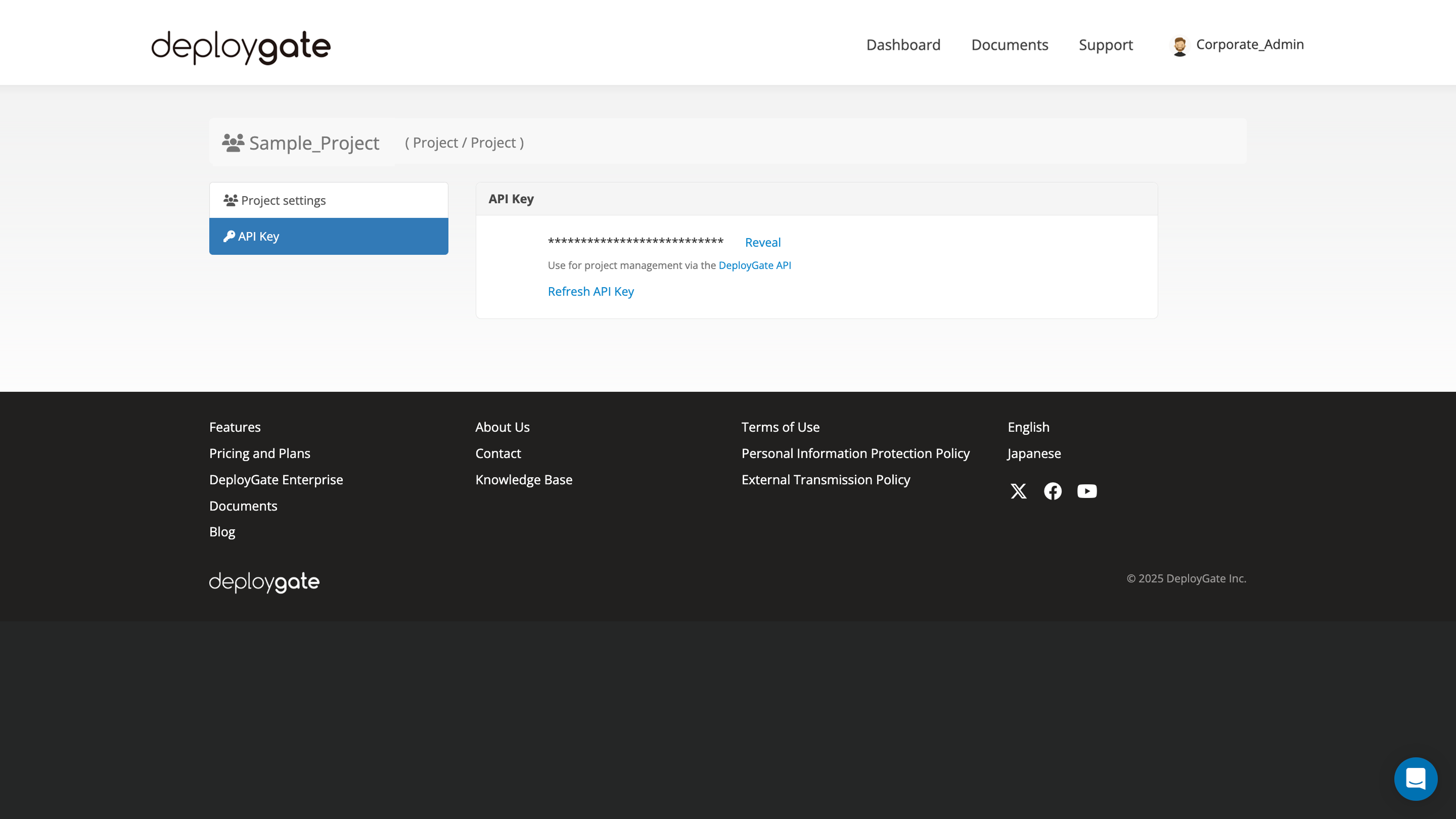 Project dashboard showing API key section