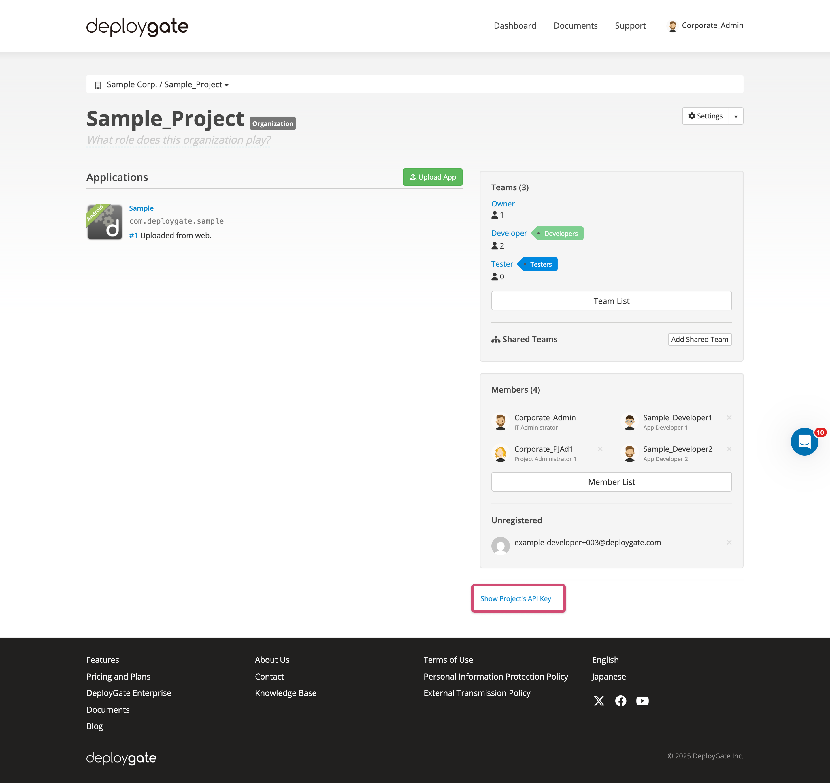 Project dashboard showing API key section