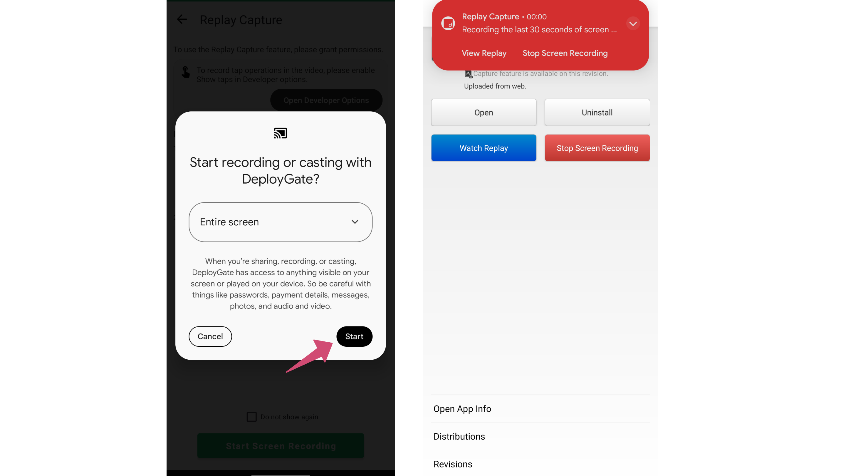 Image of Started Replay Capture