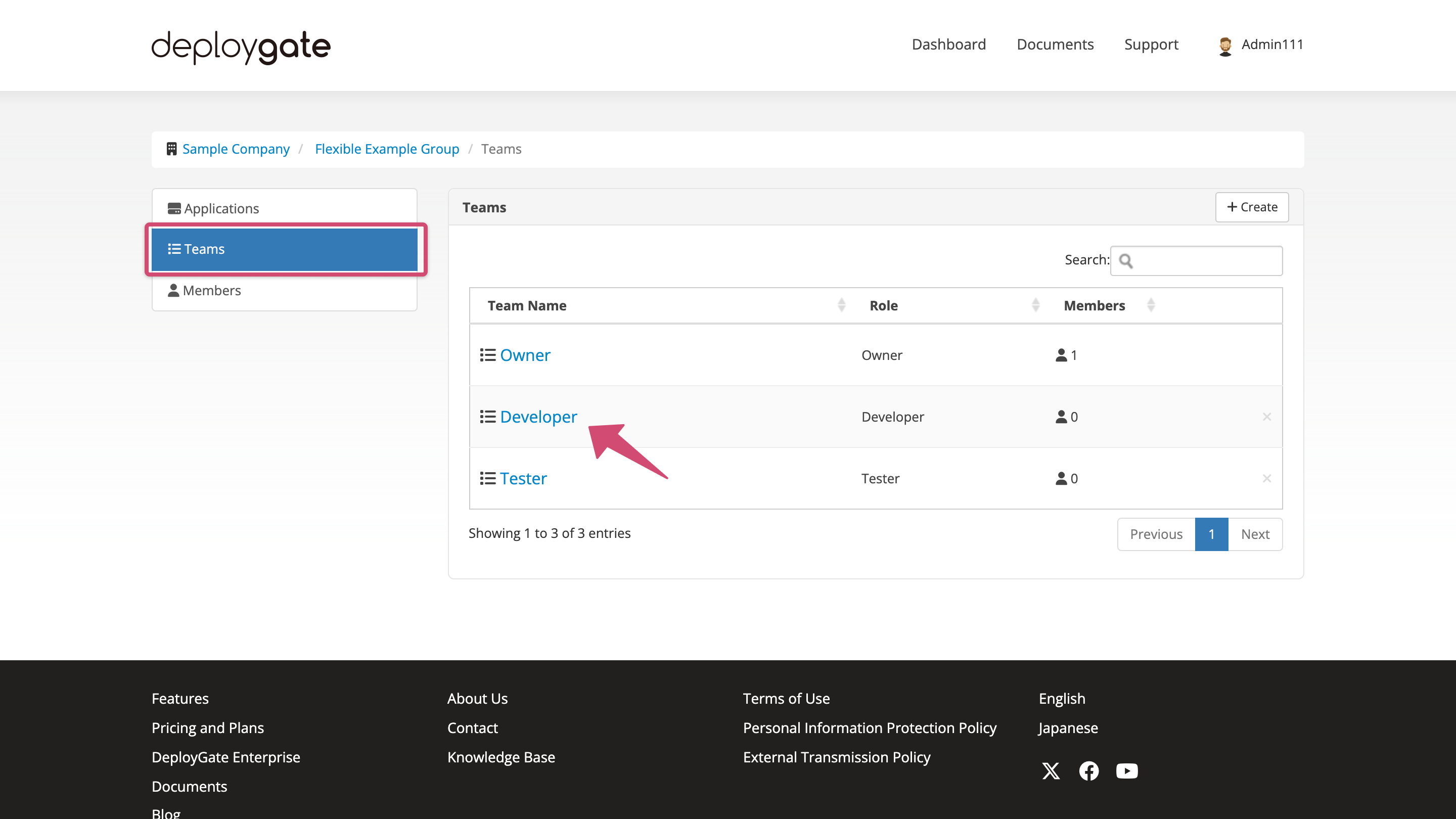 Screenshot of Team Details