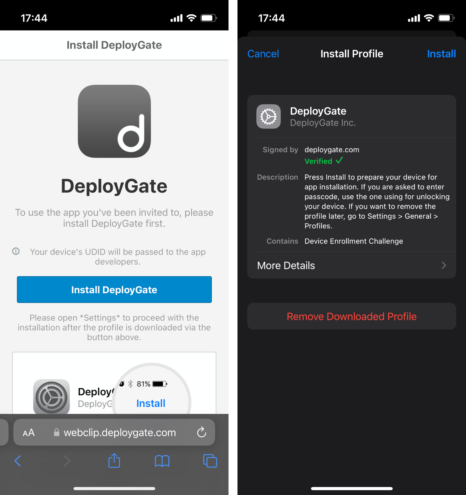 Screenshot of safari for download 