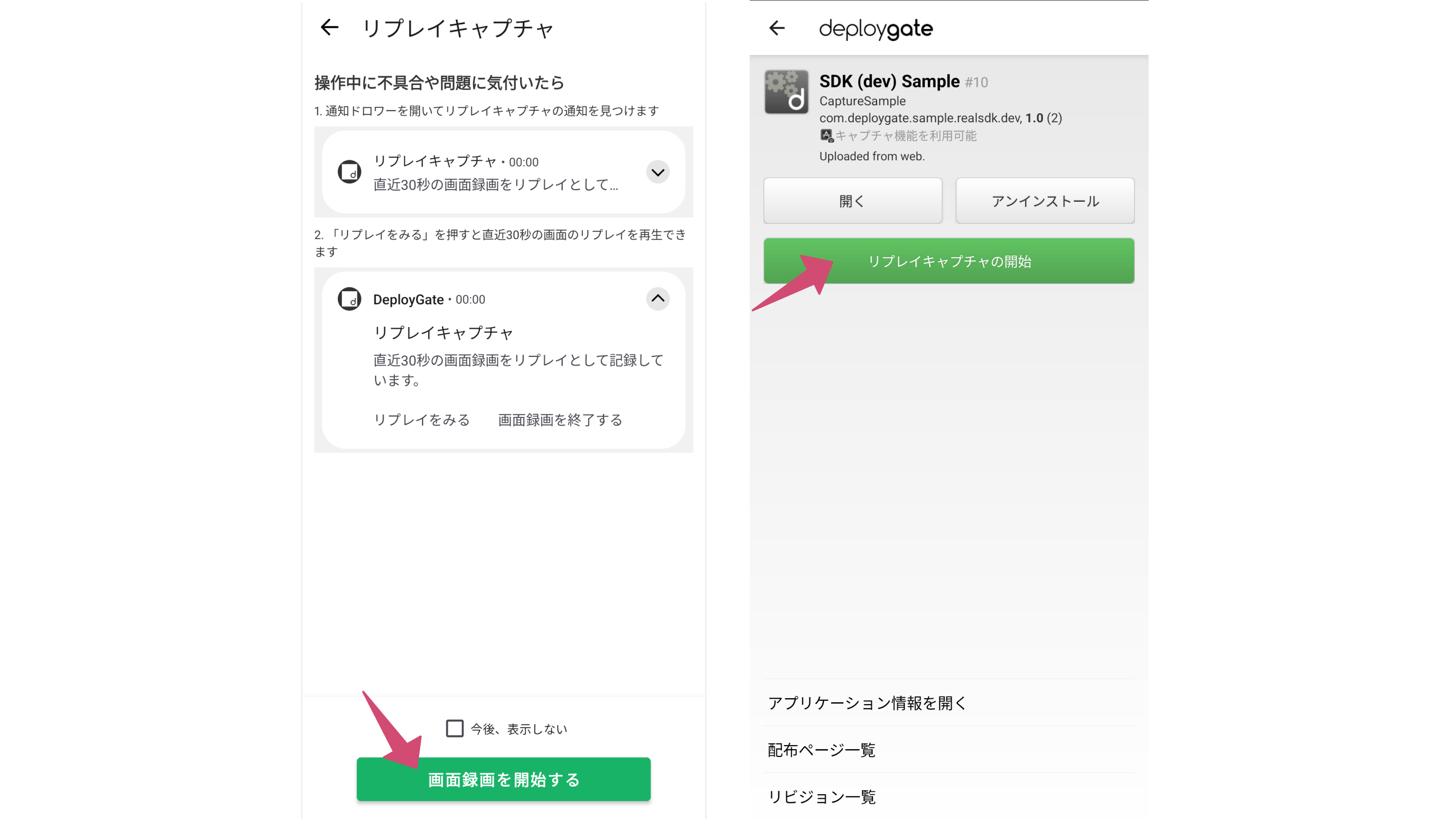 Image of Start Replay Capture