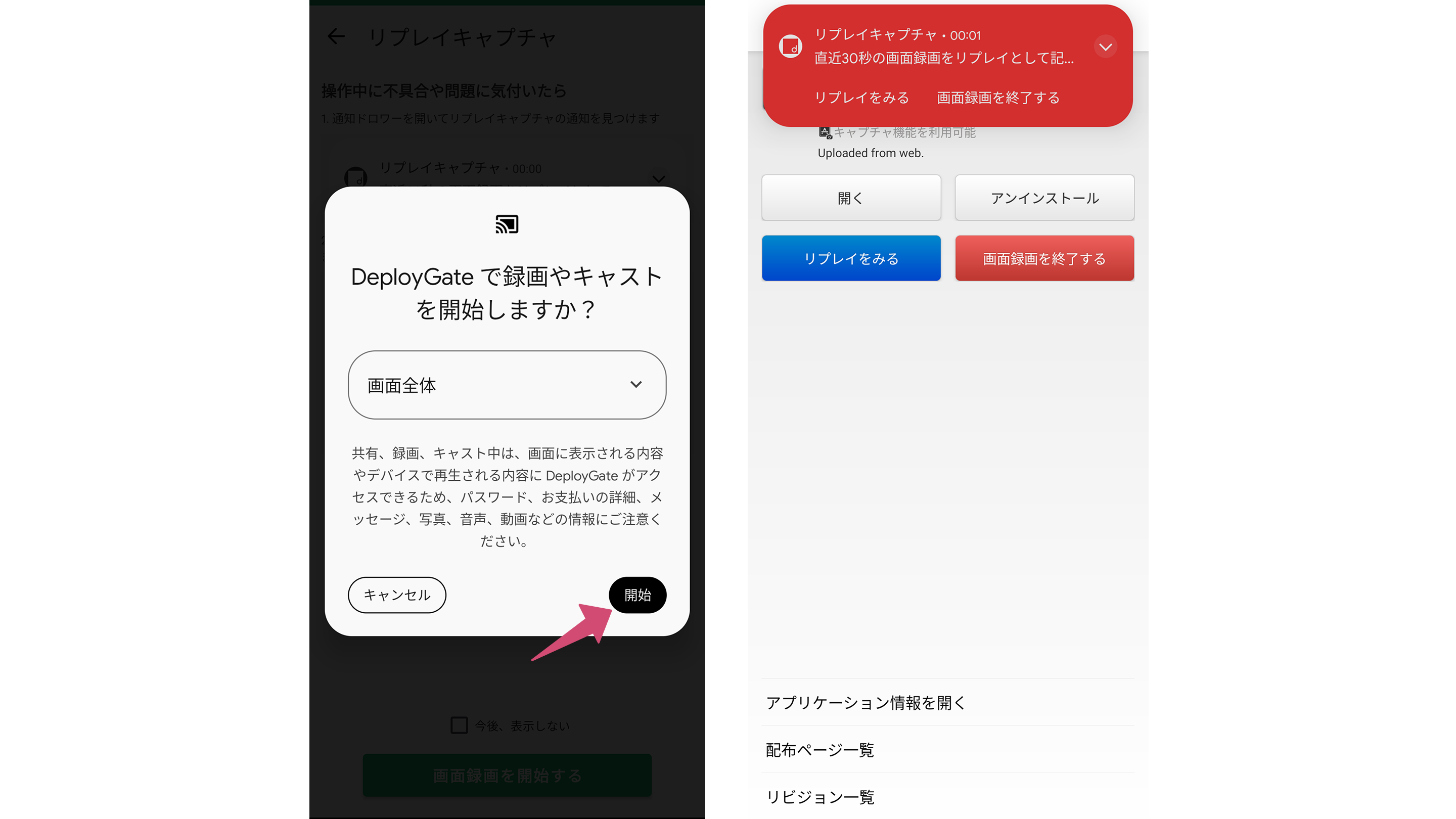 Image of Started Replay Capture