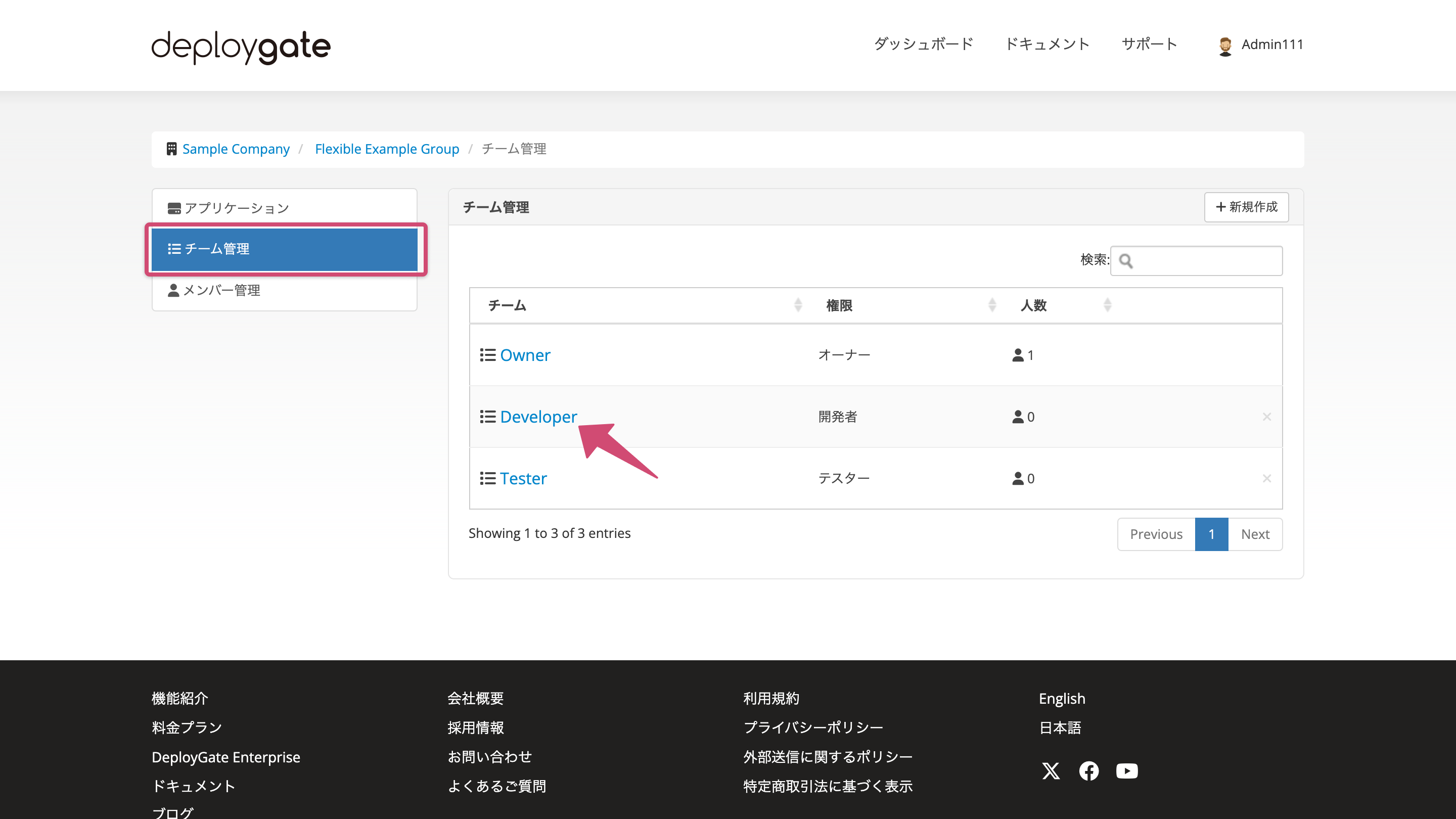 Screenshot of Team Details